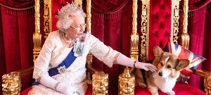 Szerinted hány kutyája volt II. Erzsébetnek gyermekkora óta? Íme a királynő házi kedvenceinek története