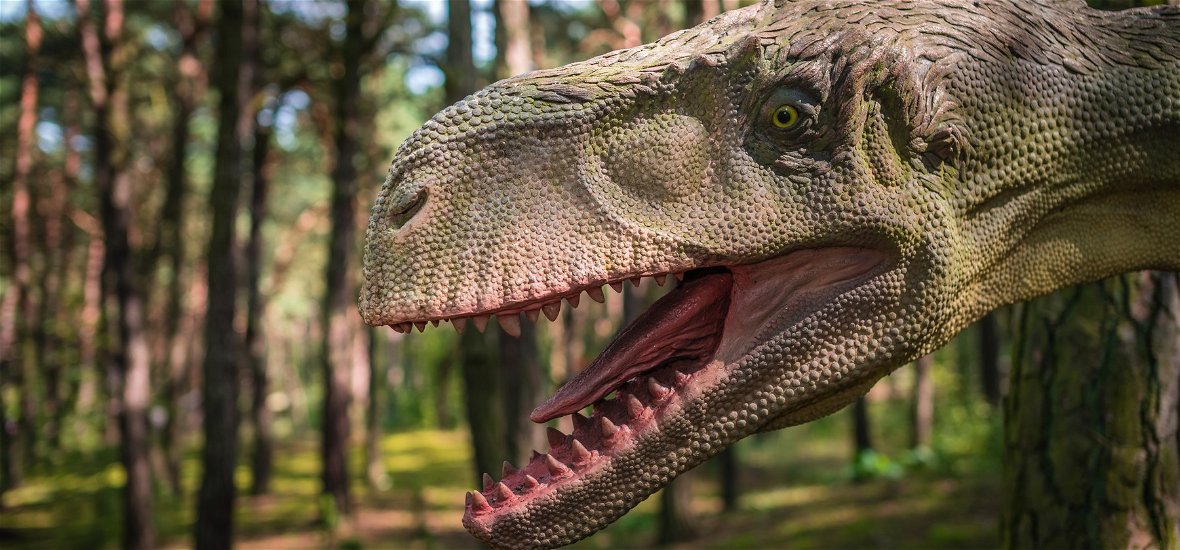 Világszenzáció: dinoszauruszt találtak Magyarországon, ráadásul egy 5 méteres ragadozót