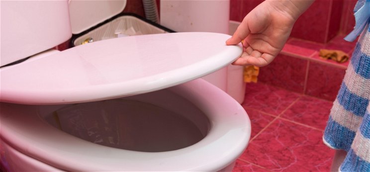 Nem hiszed el, hogyan tisztítja meg a vécéülőkét két eszement influenszer