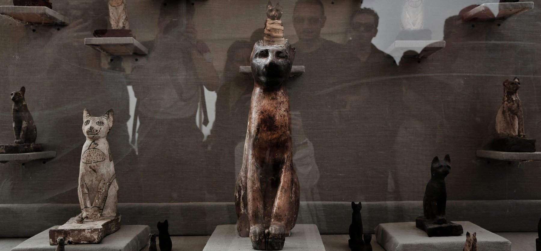 Állatokat is mumifikáltak az ókori egyiptomiak, horrorisztikus a látvány