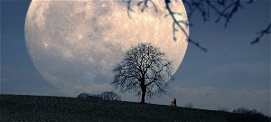 Itt a sokkoló igazság a Holdról, videó is bizonyíthatja