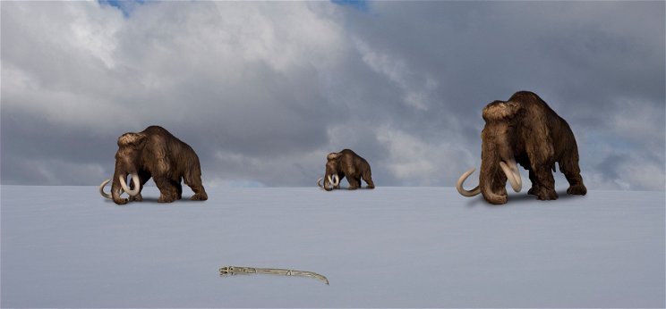 A CIA kihalt állatokat támasztana fel: pár év múlva mamutok léptei düböröghetnek a tundrán 