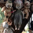 Rejtély és tragédia - babák lógnak a fákról a világ egyik legkísértetiesebb és legtragikusabb szigetén