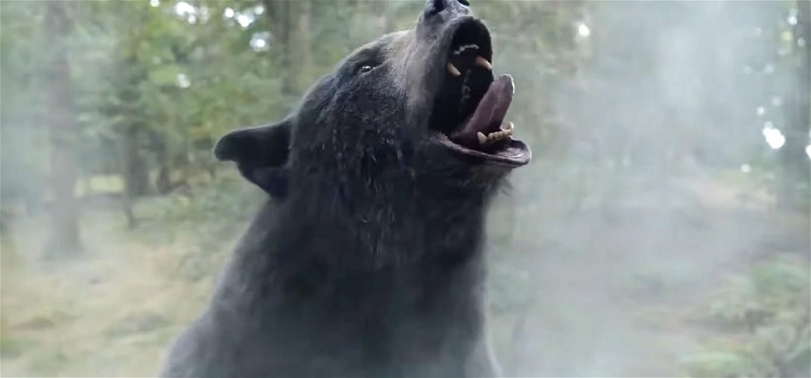 Bekokózott egy 230 kilós medve, majd őrült mészárlásba kezdett – Megtörtént eseményt dolgoz fel az év legbetegebb filmelőzetese