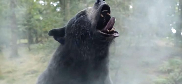 Bekokózott egy 230 kilós medve, majd őrült mészárlásba kezdett – Megtörtént eseményt dolgoz fel az év legbetegebb filmelőzetese