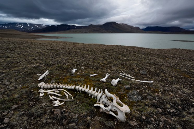 Horror a Himalájában: hirtelen kiolvadt a tó, és 800 emberi csontvázat találtak benne