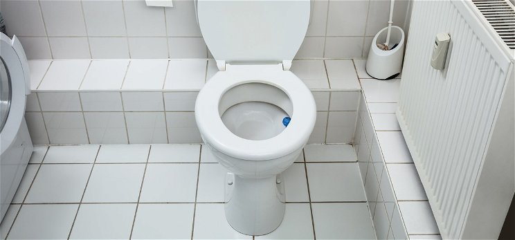Lehajtod a vécé tetejét, miután végeztél a dolgoddal? Sokkoló videó került elő nem várt következményekkel