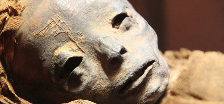 5 ezer éves egyiptomi múmiák titkáról hullt le a lepel, elképesztő történelmi felfedezést tettek kutatók