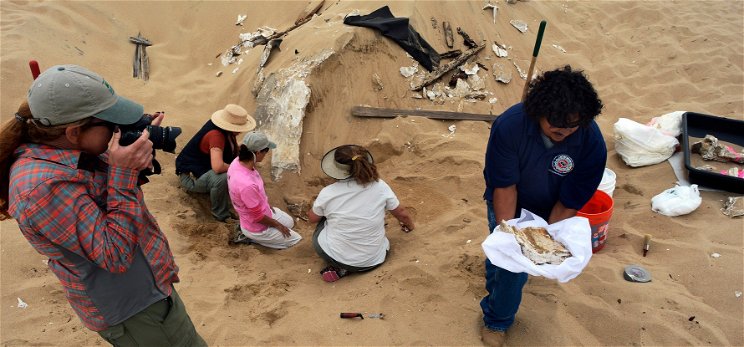 Őrület: szfinxeket és más egyiptomi szobrokat találtak a homok alá temetve Amerikában – átírhatjuk a történelmet?