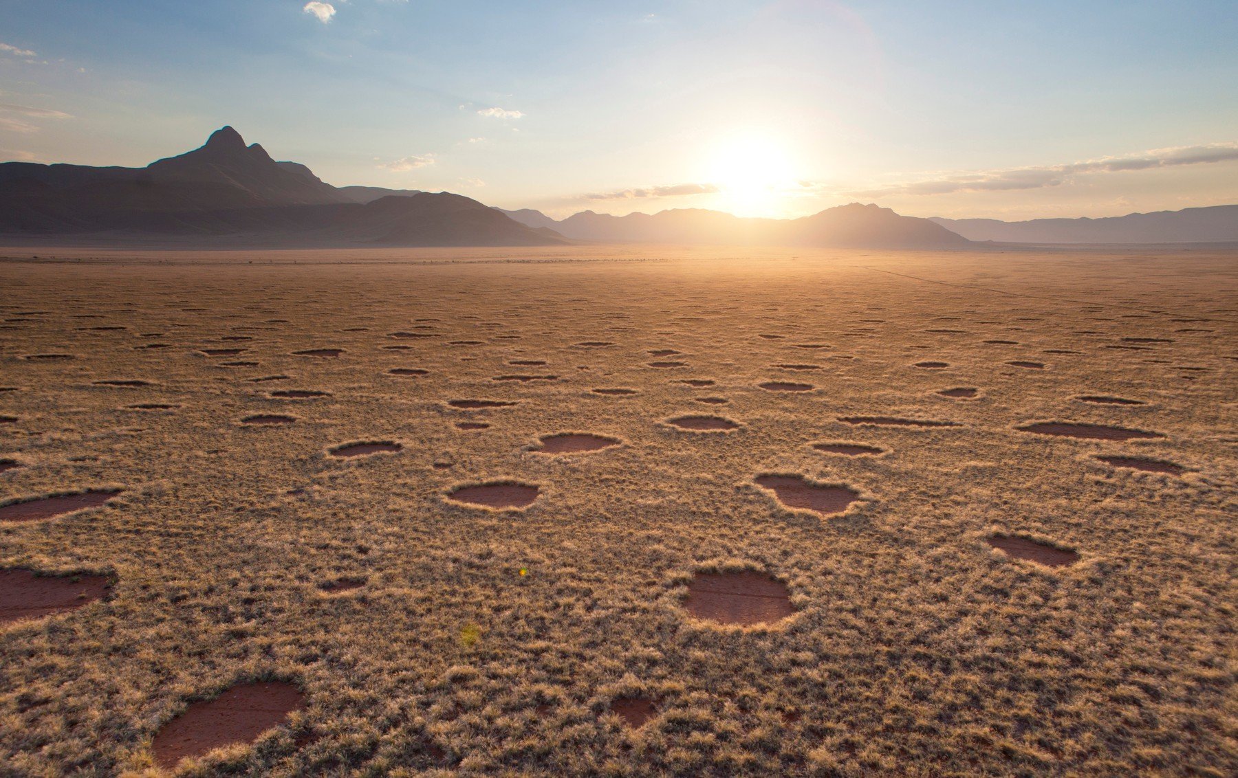 Hátborzongatóan zseniális - megtalálták a namíbiai tündérkörök rejtélyes okát