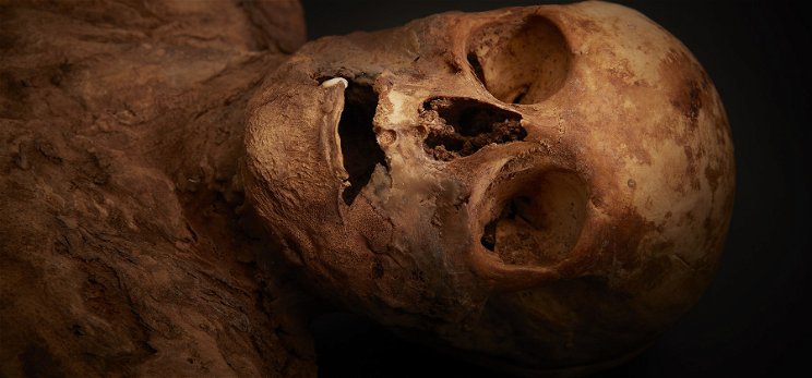 800 éves múmiát találtak egy férfinél, bizarr titokról rántotta le a leplet a rendőrség