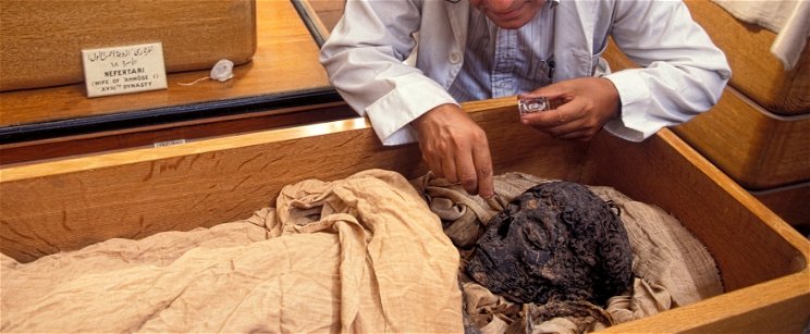 Olvadó múmiákat találtak a permafrosztban, a kutatók köpni-nyelni nem tudtak attól, amit felfedeztek a testükben