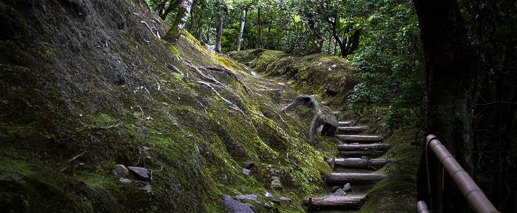 Felfoghatatlan kinézetű, óriási tárgyra bukkantak egy ősi japán erdő mélyén, a tudósok nem tudják a választ rá