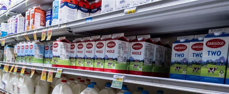 Rendkívüli bejelentés jött az árstopos tejről, holnap érvénybe is lép