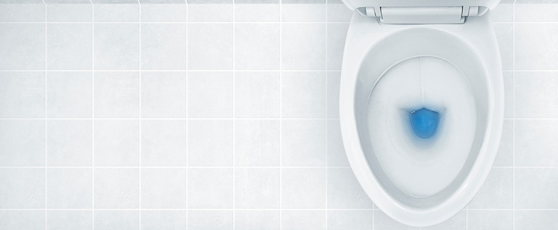 Ezt a hat dolgot tilos a WC-n lehúzni - megszólalt a szakértő
