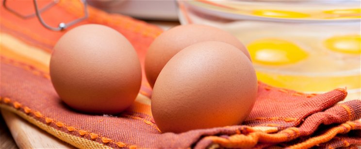 A Nébih rendkívüli figyelmeztetést adott ki a hazai tojás miatt, ez mindenkit érint