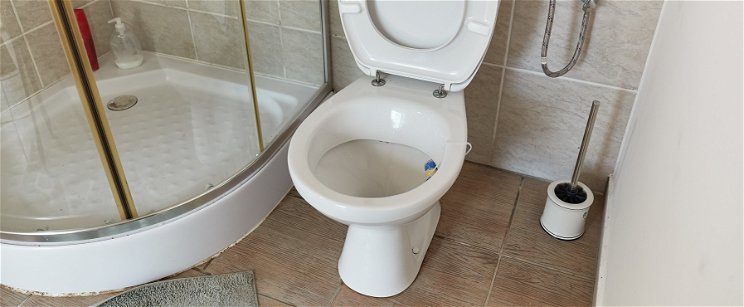 Titkos veszéllyel jár, ha nem hajtod le a WC ülőkét - elképesztő ok áll az elhanyagolt fürdőszobai szokás mögött