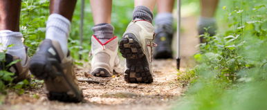 They found bearfoot is dangerous to humans in Zala, and the invasive species can also cause blindness