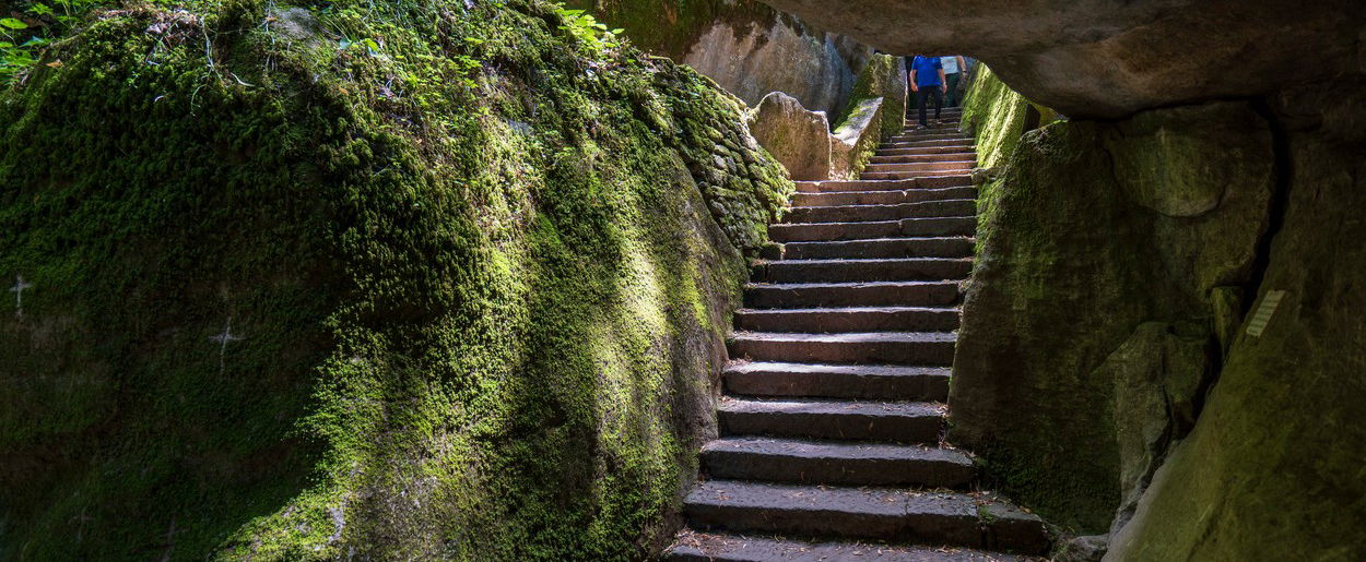 El hombre encontró una vieja escalera incomprensible en su sótano, y luego siguió una sorpresa llamativa.