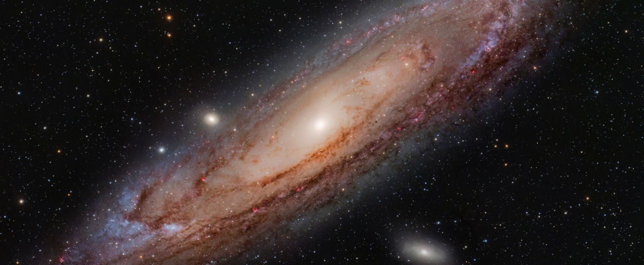 The biggest secret in the universe has been accidentally revealed – scientists apologize in shame