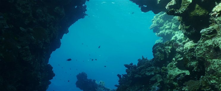 Rejtély az óceán mélyén - sosem találod ki, milyen élőlényekre bukkant a kéreg legalsó rétegét felszakító robot