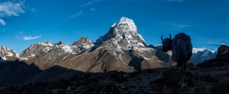 Felfoghatatlanul ősi dolgot találtak a Himalájában – sok kérdésre megadhatja a választ