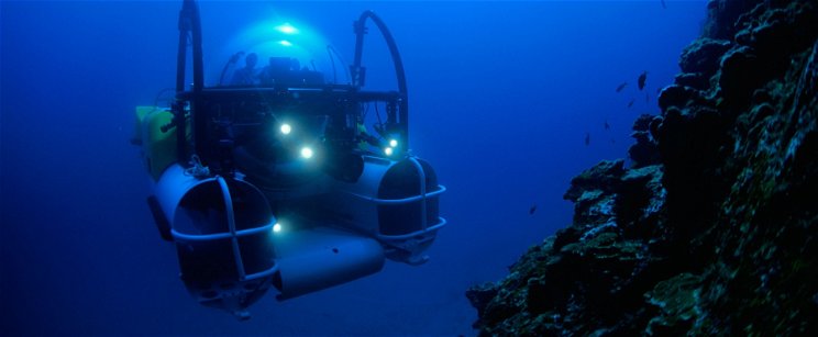 Váratlan dolgot találtak a tenger mélyén, megfagyott a tudósok tekintete
