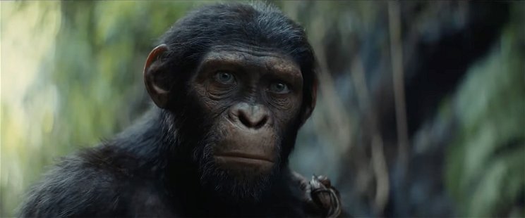 A majmok bolygója filmekből ez kimaradt, sokan még ma sem tudnak róla
