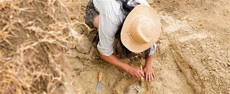 140 évvel ezelőtt kapszulában eltemetett magokat ástak ki tudósok, sokkoló, ami előkerült a föld alól