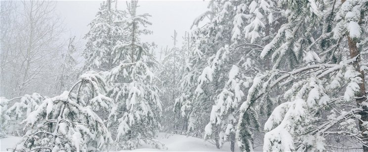 Kápráztatos képeken a havas Dunántúl, vastag hóréteg borít mindent Mikulás napján