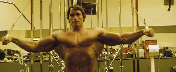 Arnold Schwarzeneggert teljesen megalázták, egy 19 éves fiú tiporta el teljesen az akciósztárt