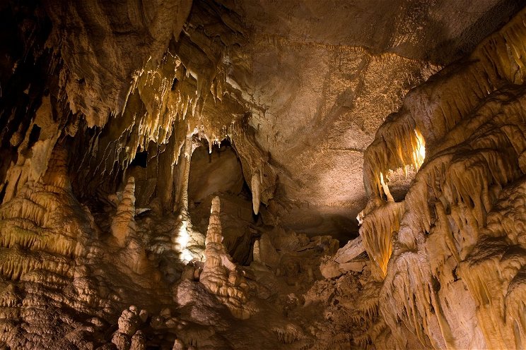 Lemerészkedtek a tudósok a világ legnagyobb barlangrendszerébe: rémisztő ősragadozópárt fedeztek fel