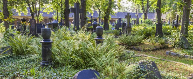 Titokzatos temető terül el Budapest közepén, kis utcából nyílik a sírok kertje amiről még a helyiek sem tudnak
