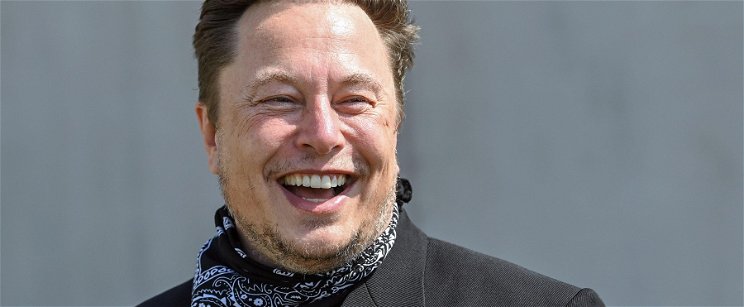 Elon Musk olyan zseniálisan alázta meg a megbénult Metát, hogy ezen röhög most az internet