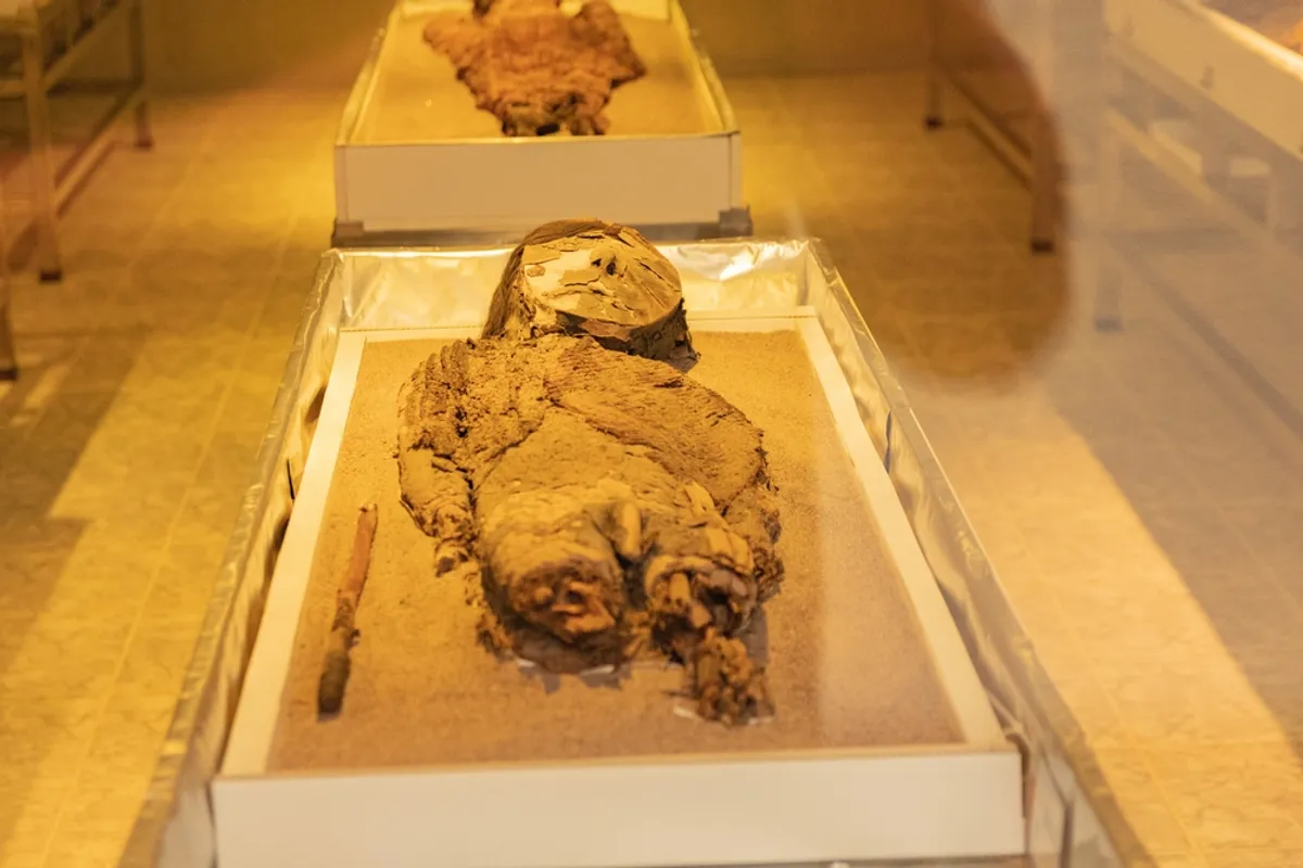 Megdöbbentő igazság: így készült a legősibb sivatagi múmia, nem csak fókabőrbe bújtatták, de még parókát is adtak rá