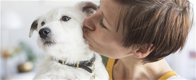 10 egyértelmű jel, hogy a kutyád nagyon szeret téged