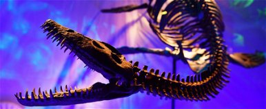 Régen élt víziszörny 2 méteres, félelmetes koponyáját találták meg: tökéletes állapotban őrződött meg, minden látszik a videón