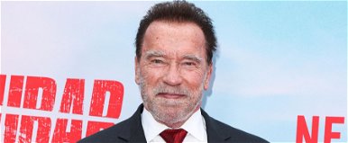 Itt a bizonyíték, Arnold Schwarzenegger egy férfi miatt jár Magyarországra, sokan ismerik