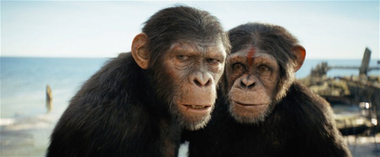 Bámulatos testű csodanő bújt A majmok bolygója filmben a szőrös emberszabású bőrébe, fantasztikus képeket mutatunk