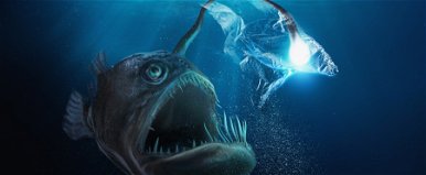 Az ismert partszakaszon bukkantak rá a pengefogú mélytengeri szörnyre, ami még élete párját is elsorvasztja