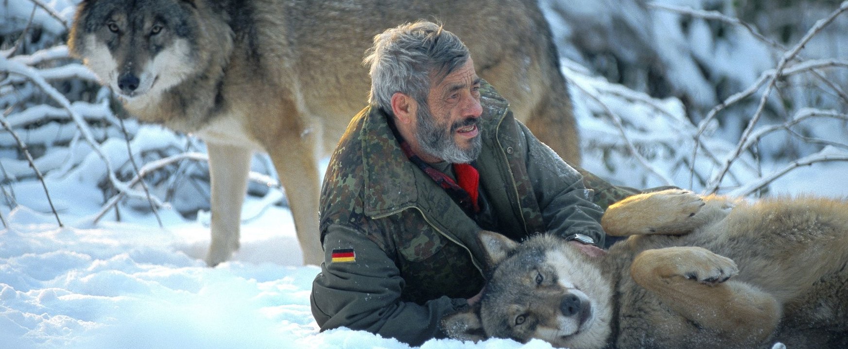 A féri több mint negyven évet élt farkasokkal, gond nélkül megette velük az elejtett nyers vadakat is