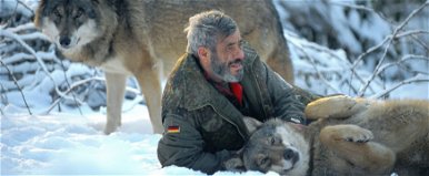 A féri több mint negyven évet élt farkasokkal, gond nélkül megette velük az elejtett nyers vadakat is
