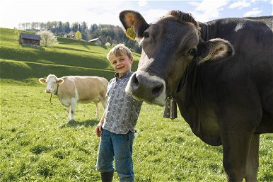 Egy európai ország kimondta: 2030-ra át kell alakítani az élelmiszeripart, emiatt elkezdik adóztatni az állattartást