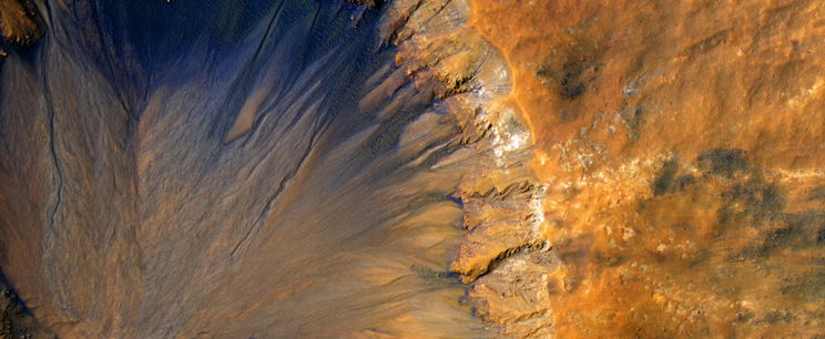 Halhatatlan élőlény segíthet benépesíteni a Marsot, a halálos sugárdózis ezerszeresét is túléli