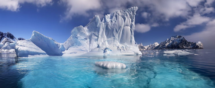 Idegen lény az Antarktisznál? A tudósokat is sokkolta az arctámadószerű, 20 karú teremtmény
