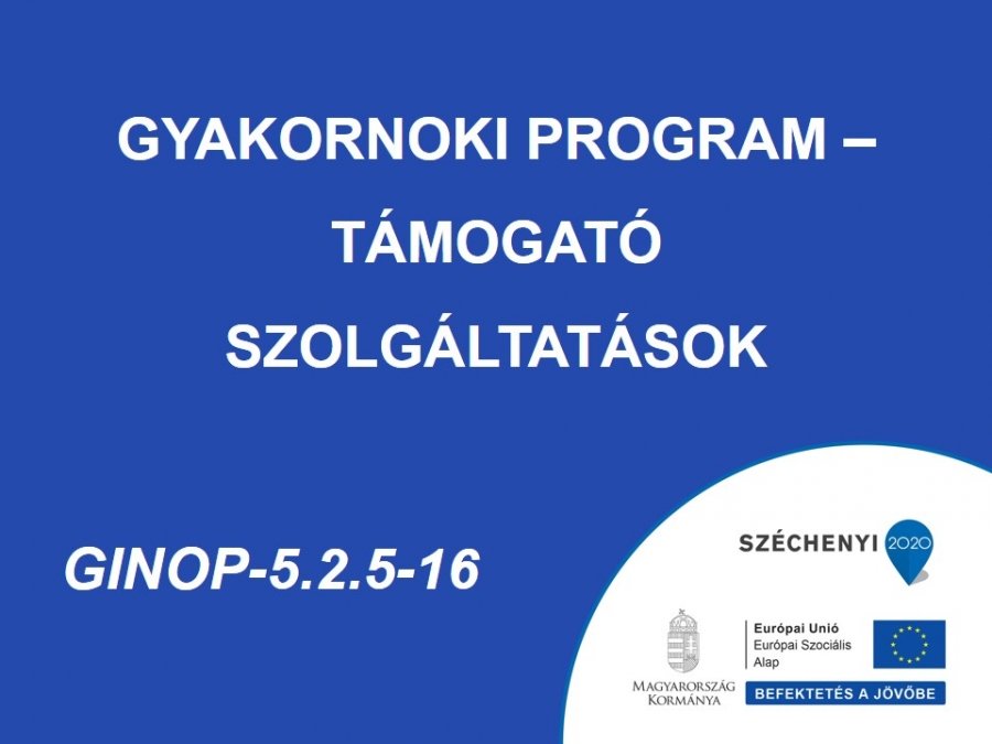 Gyakornoki Program – Támogató szolgáltatások - GINOP-5.2.5-16-2016-0001.