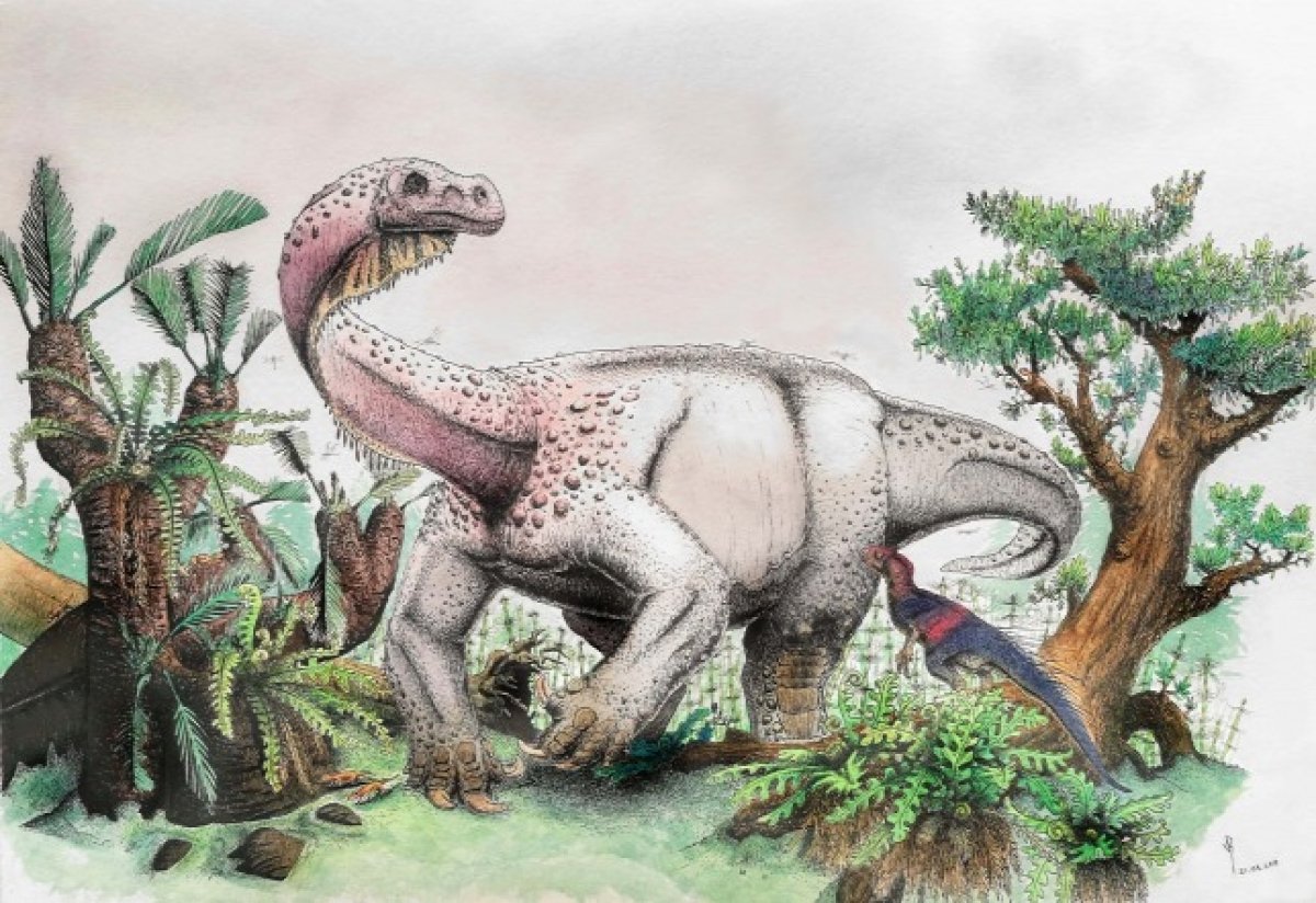 Hajnali óriás mennydörgés – felfedeztek egy új dinoszauruszt