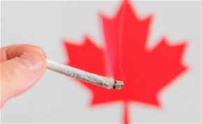 Óriási marihuánahiány van Kanadában, a boltok nem tudnak kinyitni