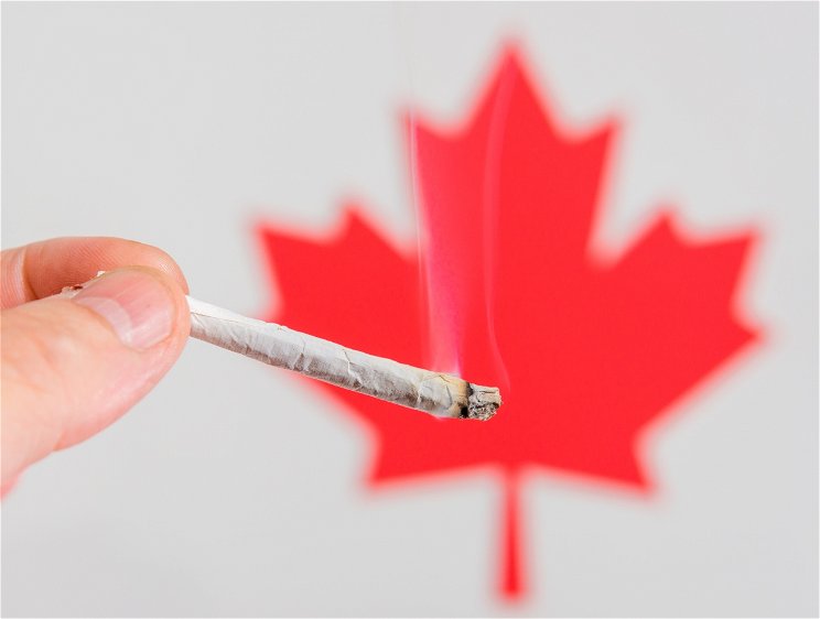 Óriási marihuánahiány van Kanadában, a boltok nem tudnak kinyitni