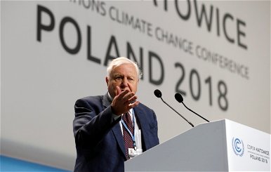 David Attenborough: Civilizációnk összeomlása a küszöbön áll